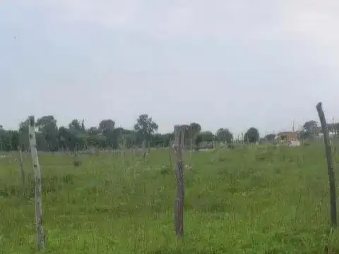 Torino e/ Ascasubi y Guiraldes