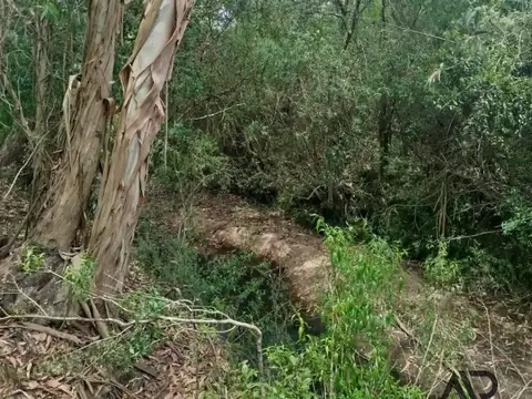 Chacra en venta de 28ha ubicado en Garzon