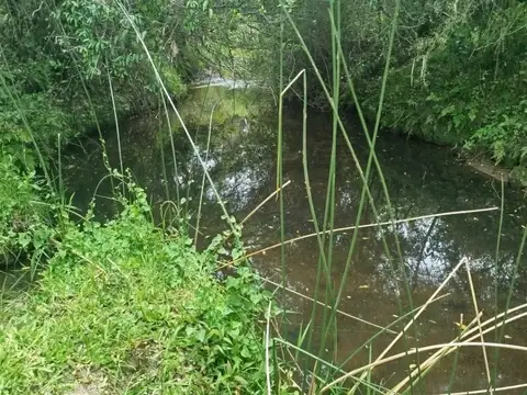 Chacra en venta de 28ha ubicado en Garzon