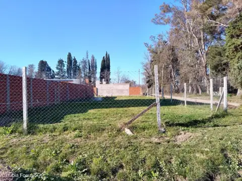 Terreno en Venta 12  mts Fondo