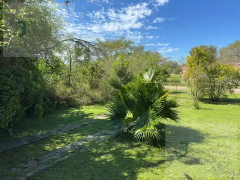 Irineo Maciel al 300