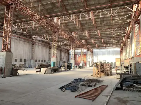 Carlos Delcasse al 100