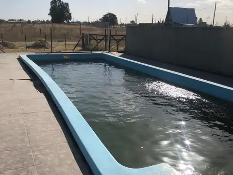 11 de septiembre 228, 100