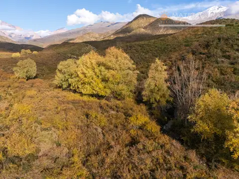 Finca en venta Los Arboles