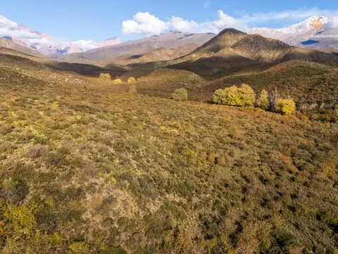 Finca en Los Arboles