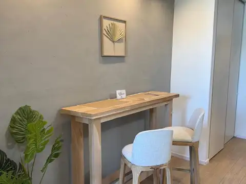 Esquiu 450 Tigre Brickell Remeros