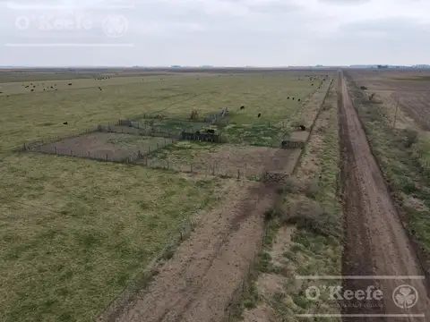 Dolores 210 has. Campo Mixto en Venta. Excelente unidad productiva.