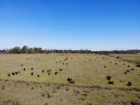 183 Has Capilla del Señor 100