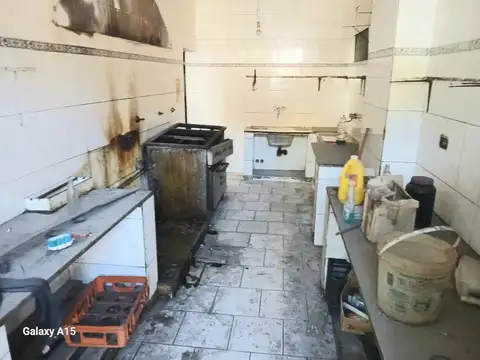 Mariquita Thompson 1000