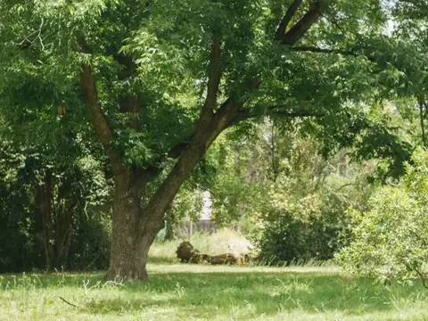 45 HIP PARK, PILAR.   MONOAMBIENTE Amenities, vistas, cochera.