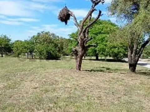 Terreno en Venta en Causana, USD 83.000