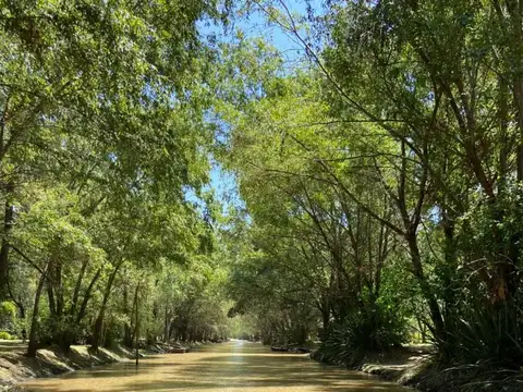 Terreno en Venta en Islas, USD 24.000