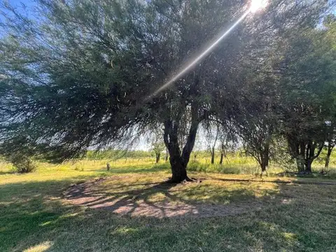 Campo 14 hec ganadero-recreativo Pblo. Libertador Corrientes