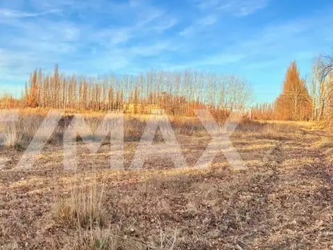 ALQUILER CHACRA  CIPOLLETTI