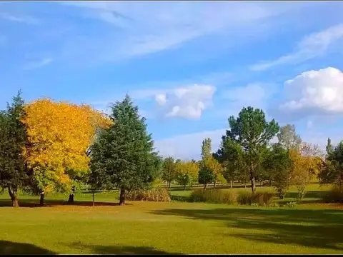 CC Las Brisas Zelaya