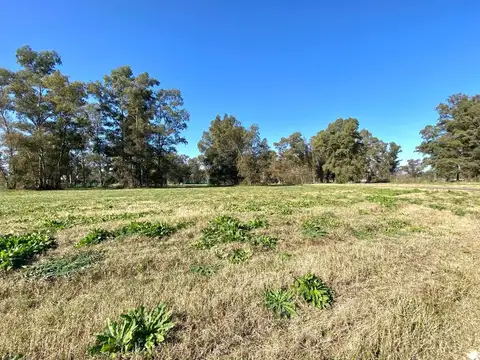 Terreno en Venta en Los Pinares Country Club, USD 53.000