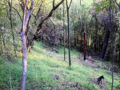 VENTA LOTE BARRIO SAN ISIDRO RIO CEBALLOS