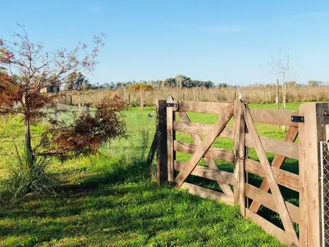 Terreno en Venta de 2067,0 m2