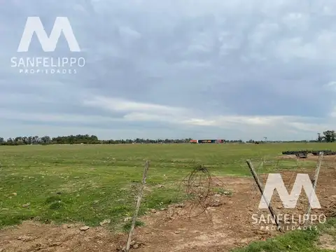 Campo - Chacra 17 - Venta - Chascomús