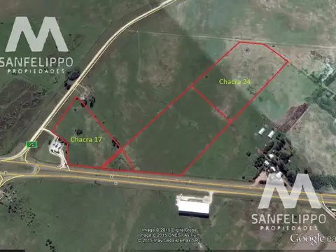 Campo - Chacra 17 - Venta - Chascomús