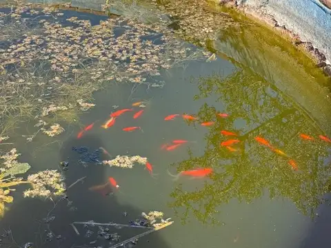 Terreno en Venta de 20672,0 m2