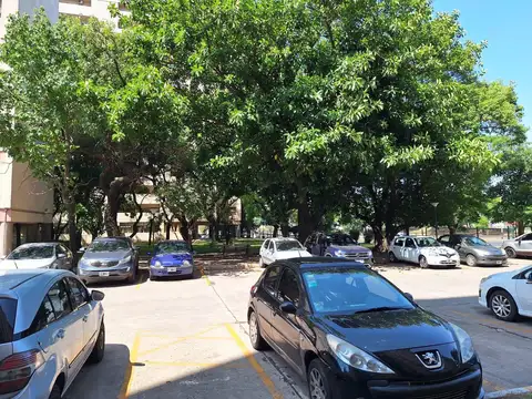 curapaligue  al 1800