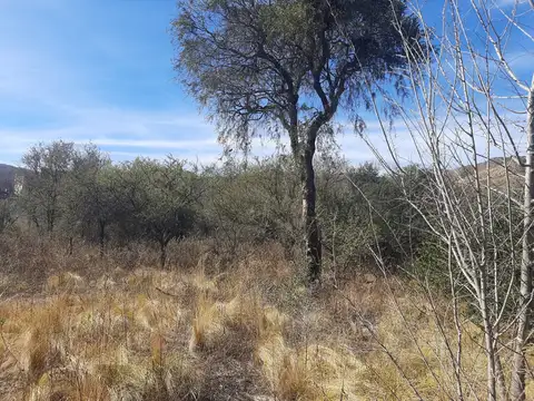 Terreno en Venta de 1110,0 m2