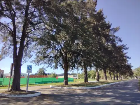 Terreno en Venta de 800,0 m2