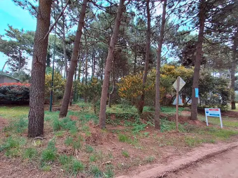 Terreno en Venta de 834,0 m2