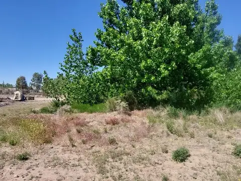 Terreno en Venta de 9922,0 m2