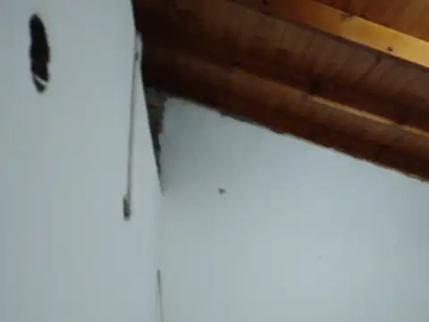 cristobal colon 2800