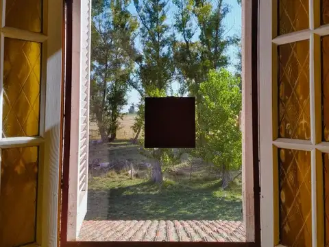 Juan Manuel de Rosas y Ruta 51