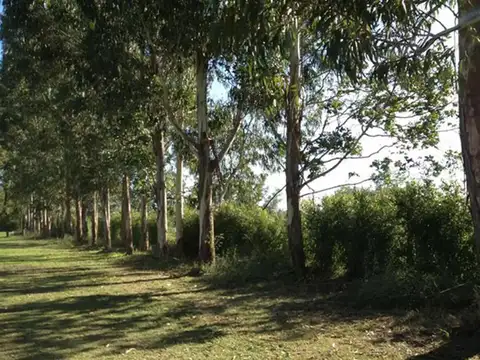 Terreno en Venta de 456,0 m2