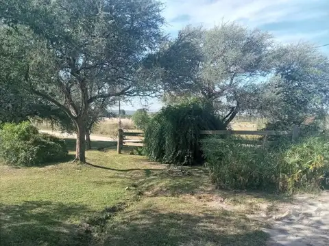 Punta de Agua, Malagueño 100