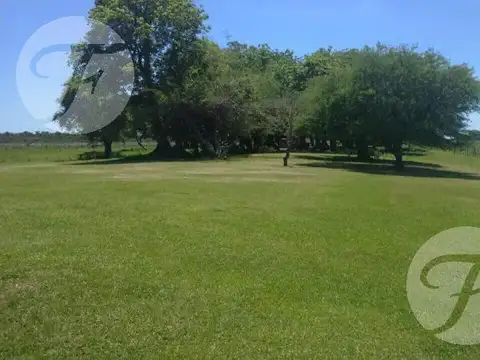 Corrientes I Campo 4168 ha