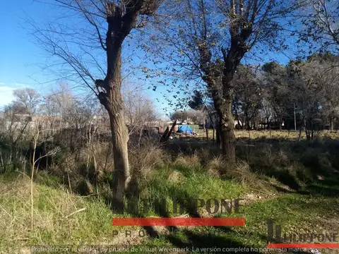 Terreno en Venta en Darregueira, USD 9.000