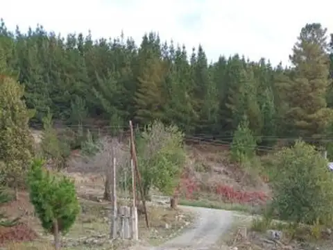 Camino a Puerto Patriada