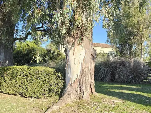 Terreno en Venta en Los Potrillos, USD 68.000