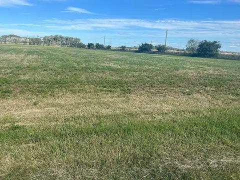 Campo de 26 has en venta en Canning, Ezeiza. Ruta 52 y Paso de los Libres.