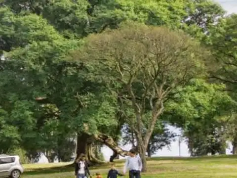 Tereno, Venta, Barrio Abierto, Solares Norte, Oliveros