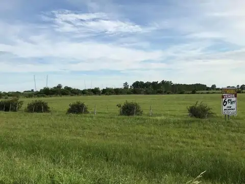 Espectacular Lote de 6,49 Has frente a Termas Villa Elisa