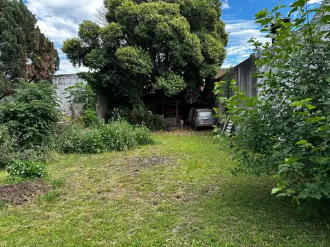 Hipolito irigoyen al 1800