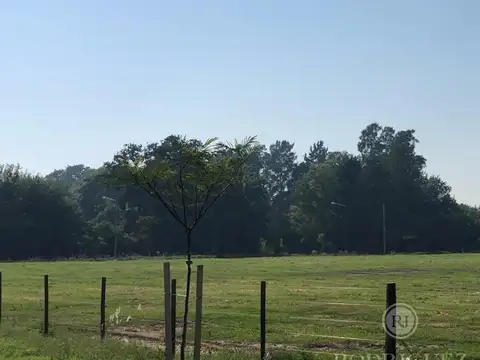 Terreno en Venta de 326,0 m2