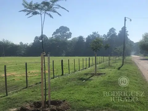 Terreno - Venta - Argentina, San Antonio de Areco