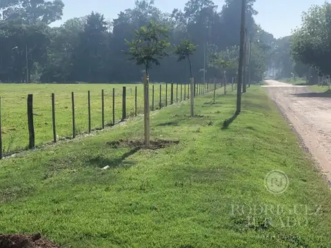 Terreno en Venta de 326,0 m2