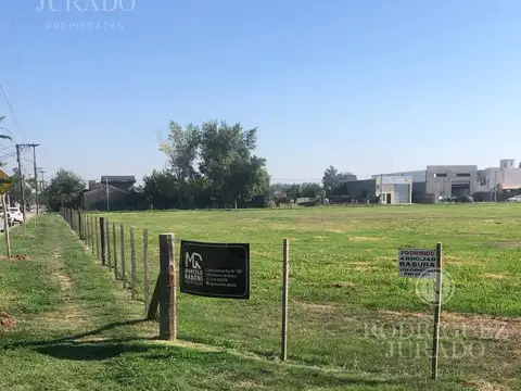 Alberdi y Rosa de Giles - San Antonio de Areco