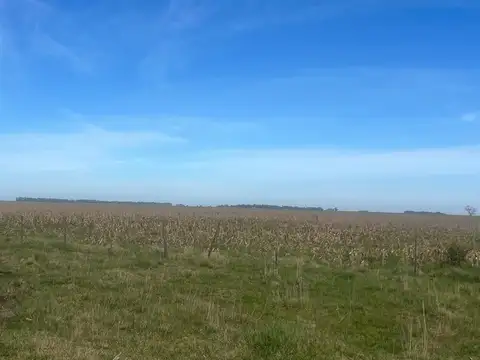 Campo en venta en San Cayetano, Provincia de Buenos Aires