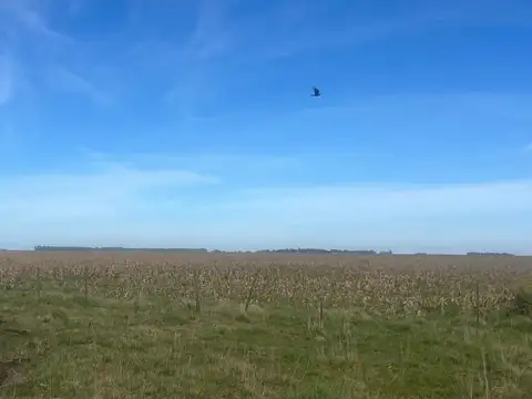 Partido de San Cayetano