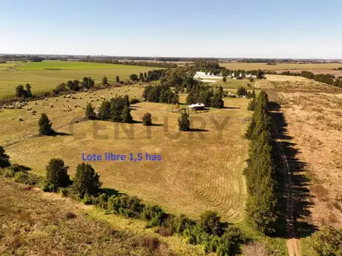 LOTE/CHACRA de 1,5 HECTAREAS CAPILLA DEL SEÑOR, PARTIDO DE CAMPANA -