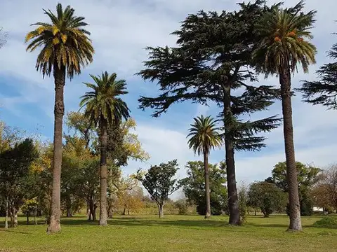 Terreno - Longchamps